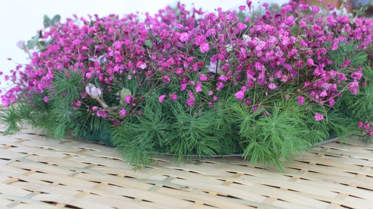 Global Folklore Fusion: Willow Coffins in Multicultural Diaspora Communities