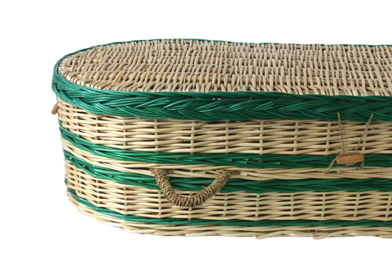The Life Code Woven by Mycelium: When Fungal Spores Become Catalysts of Natural Reincarnation