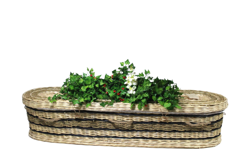 Australian Outback Willow: Drought-Resistant Weaving for Green Funerals