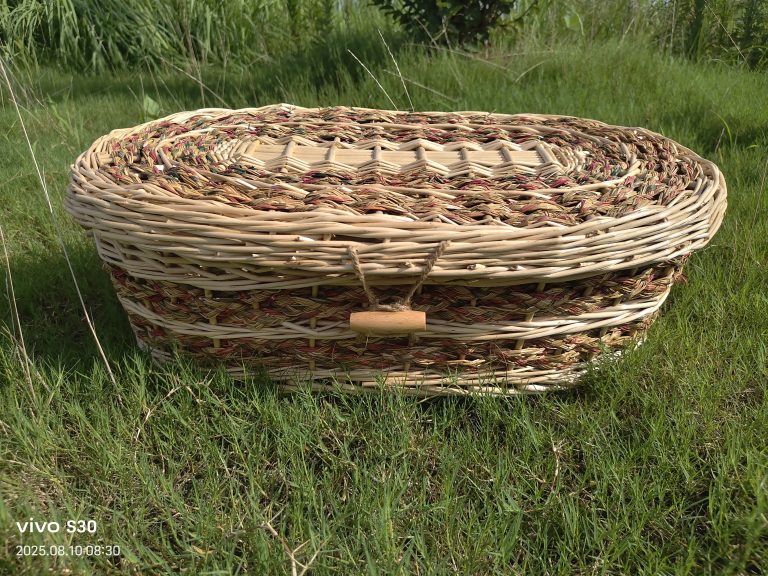 Child Green Coffins: A Global Movement Towards Eco-Conscious Farewells