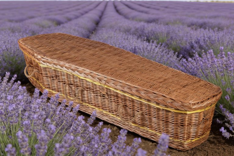 L’essor des cercueils biodégradables en osier : le marché français en 2026